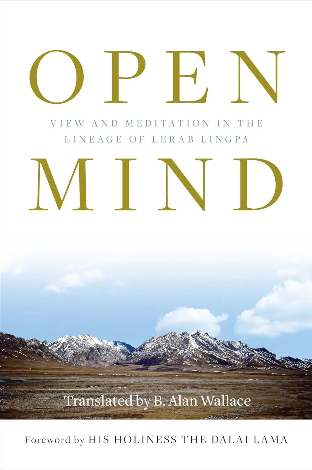 Open Mind: View and Meditation in the Lineage of Lerab Lingpa 101 Open Mind