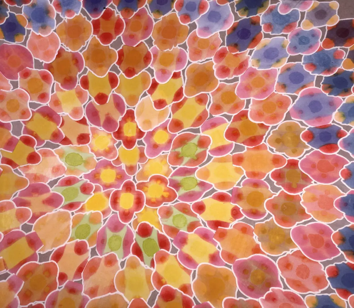 What Is True Happiness? 67 Polly Apfelbaum Blossom