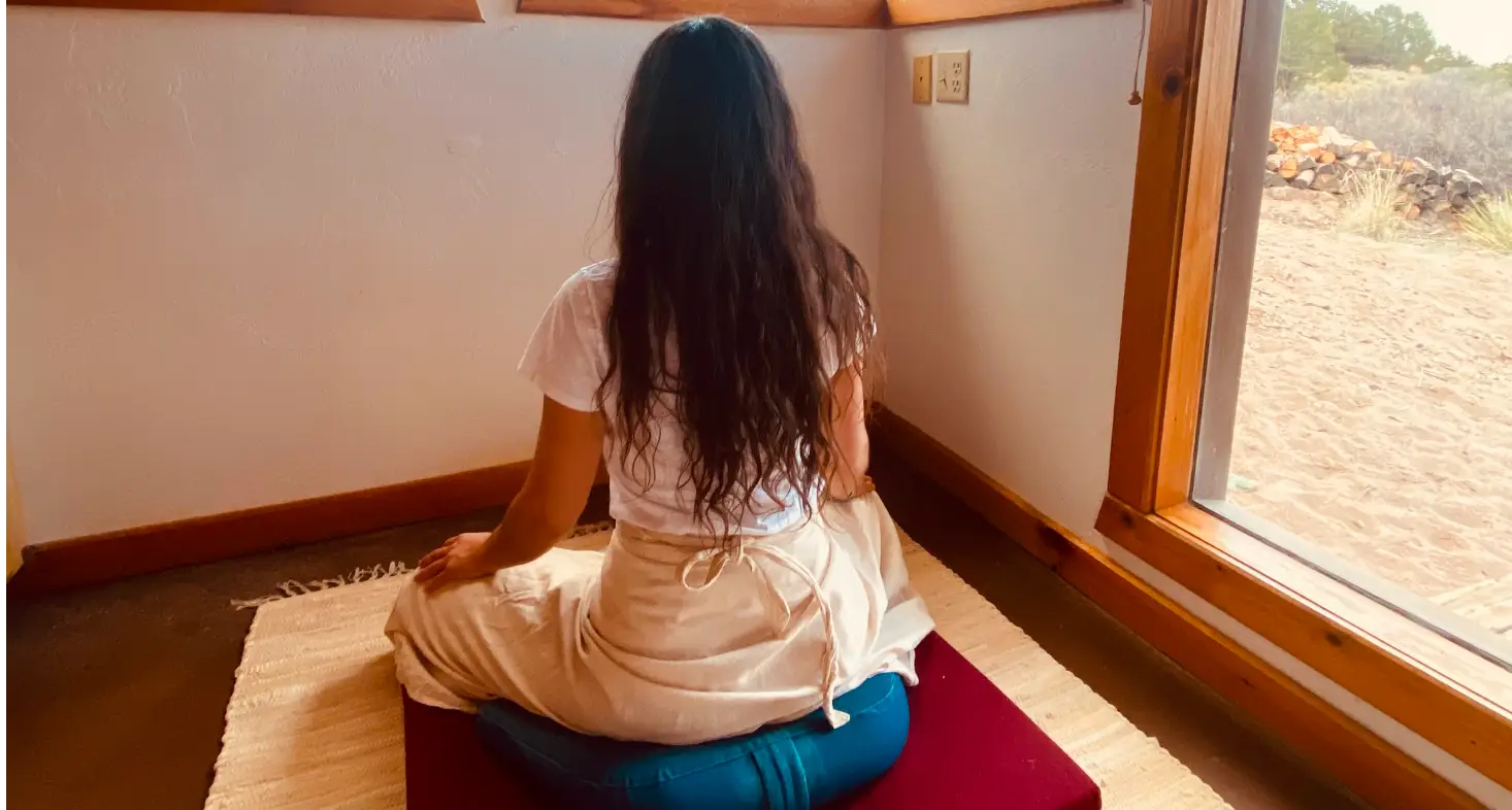 What is Contemplative Science? 5 Yeshe Whatis