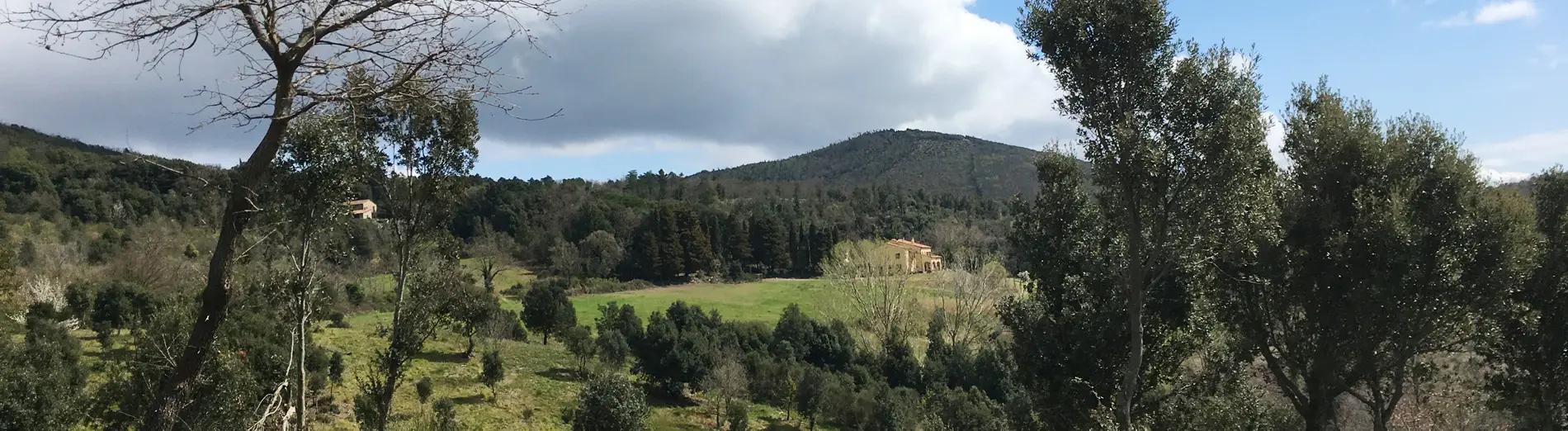 Retreat Application Sita Tara Villa Villa In Distance Cropped